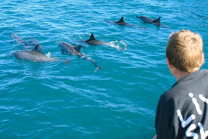 Lanai Snorkel and Dolphin Watch from Maalaea - Marine Naturalists and Educational Activities Onboard