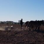 Lancaster: Amish Farmlands Guided Tour - Starting Point in Lancaster: Amish Experience Theater