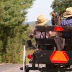 Lancaster County: Amish Farmlands, Museum Tour, Farm Visit - Starting at Lancasters Amish Farm and House