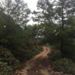 Land Rover Safari in Rhodes North Route - Discovering Kolimbia and Its Surroundings