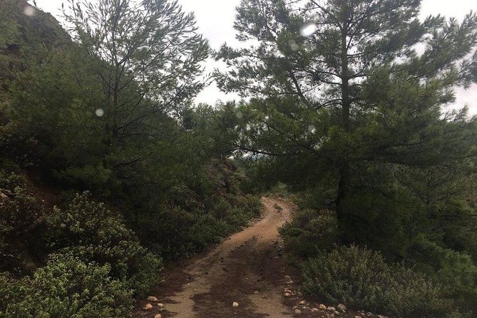 Land Rover Safari in Rhodes North Route - Discovering Kolimbia and Its Surroundings