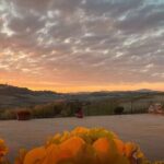 Langhe e Monferrato: Amerio Vincenzo Wine Tour and Tasting - Guided Tour of the Vineyards and Cellar