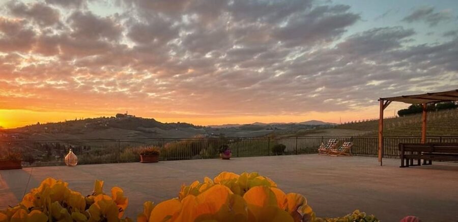 Langhe e Monferrato: Amerio Vincenzo Wine Tour and Tasting - Guided Tour of the Vineyards and Cellar