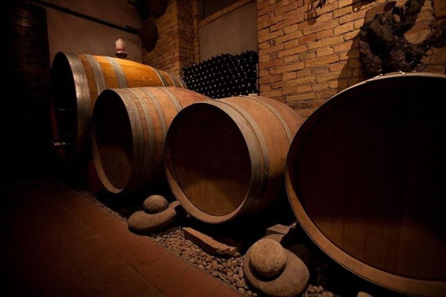 Langhe & Monferrato: Vineyard Tour and Wine Tasting - What the Tour Includes: Vineyard, Cellar, and Tasting