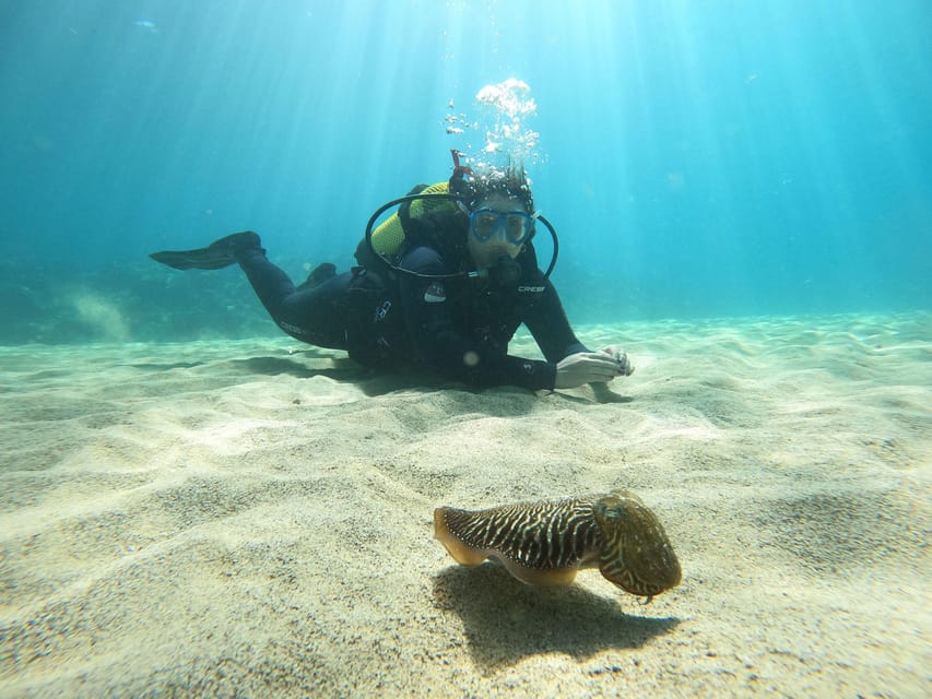Lanzarote: Scuba Diving for Beginners - 1 Dive - How the Tour Starts: Convenient Pickup and Transport