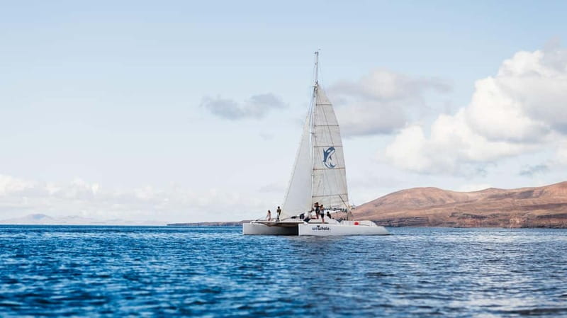 Lanzarote Sunset Experience with dolphin spotting - Eco-Friendly Travel on Lanzarote’s First Fully Electric Catamaran