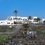 Lanzarote: Vineyard Tour with Wine and Chocolate Tasting - Exploring Finca Testeina and Its Historic Roots