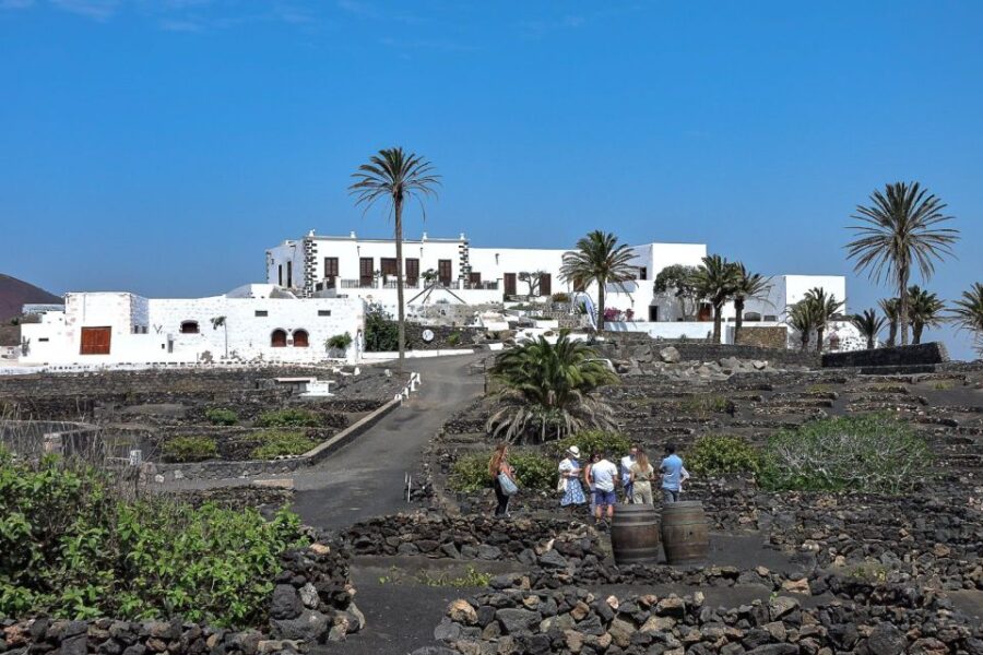 Lanzarote: Vineyard Tour with Wine and Chocolate Tasting - Exploring Finca Testeina and Its Historic Roots