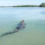Las Coloradas & Río Lagartos with boat & Lunch from Mérida - Relaxing at Cancunito Beach in Río Lagartos