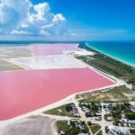 Las Coloradas Tour! Boat Ride, Lunch & Rio Lagartos from Cancun - Ría Lagartos Nature Reserve: Wildlife and Mangrove Ecosystems