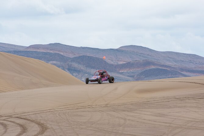 Las Vegas Big Dune Free Roam Adventure at Amargosa - The Dune Vehicles: ATV or Buggy