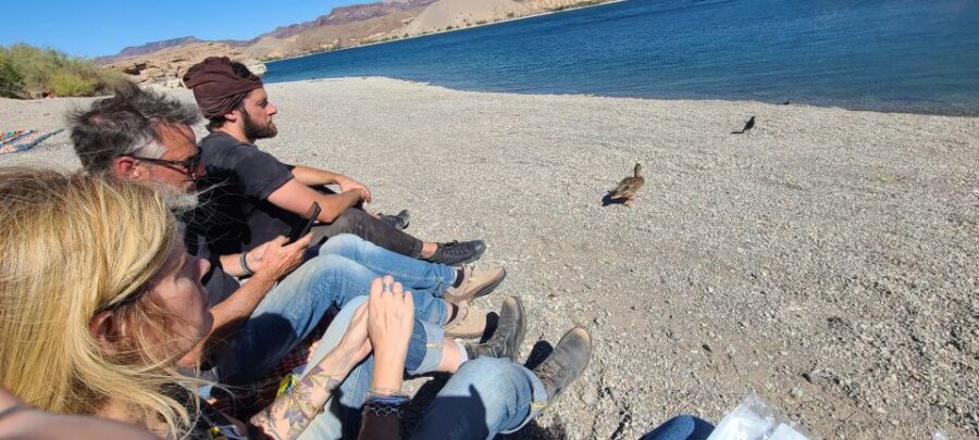 Las Vegas: Colorado River Adrenaline RZR Tour - Starting Point and Meeting Instructions in Arizona