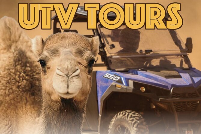 Las Vegas Guided UTV Safari and Zoo Tour - Starting Point and Timing