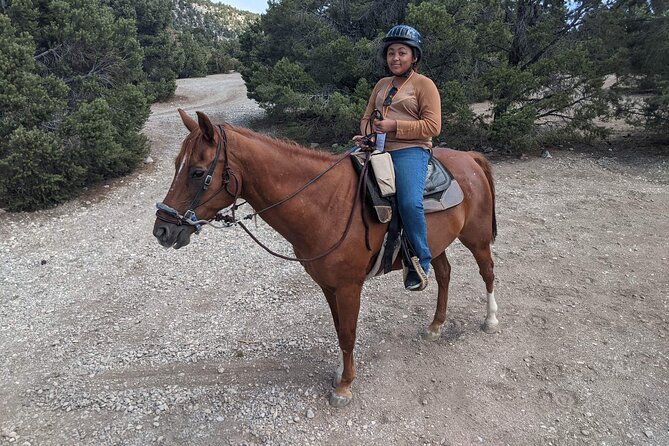 Las Vegas Horseback Riding Adventure in Mountain - Scenic Landscapes Across Seasons