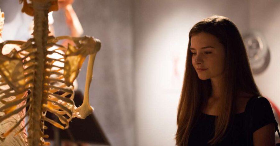 Las Vegas: REAL BODIES at Horseshoe Las Vegas Entry Ticket - The Location and Setting at Horseshoe Las Vegas