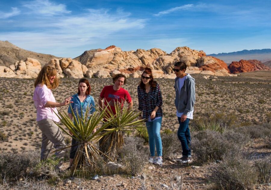 Las Vegas: Red Rock Canyon Tour & Rocky Gap 4x4 Adventure - The Unique Open-Air Jeep Experience in Red Rock Canyon