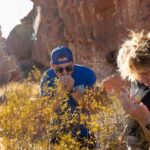 Las Vegas: Valley of Fire and Red Rock Canyon Day Trip - Scenic Red Rock Canyon Stop