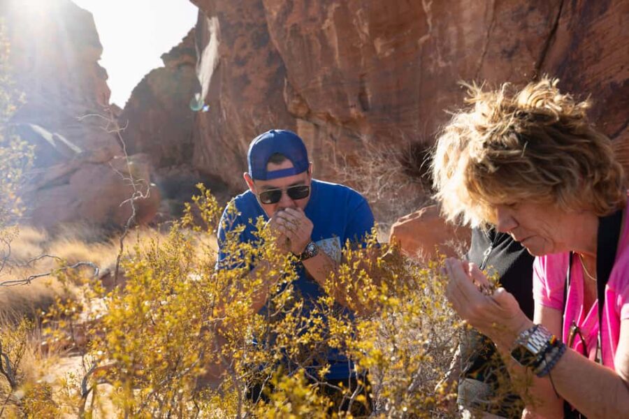 Las Vegas: Valley of Fire and Red Rock Canyon Day Trip - Scenic Red Rock Canyon Stop