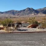 Las Vegas: Valley of Fire Guided Hiking Day Trip - Exploring the Geological Marvels of Valley of Fire