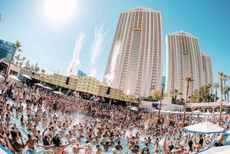 Las Vegas: VIP Pool Crawl with Drinks & Entry - Transfer & Transportation: The Party Bus Experience