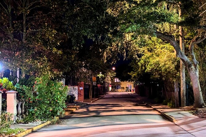 Last Stand Walkabout Tour - Visiting Hypolita Street: The Recent Shooting Scene