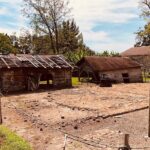 Laura Plantation Half-Day Tour from New Orleans - Explore Laura Plantation’s Deep Roots and Personal Stories