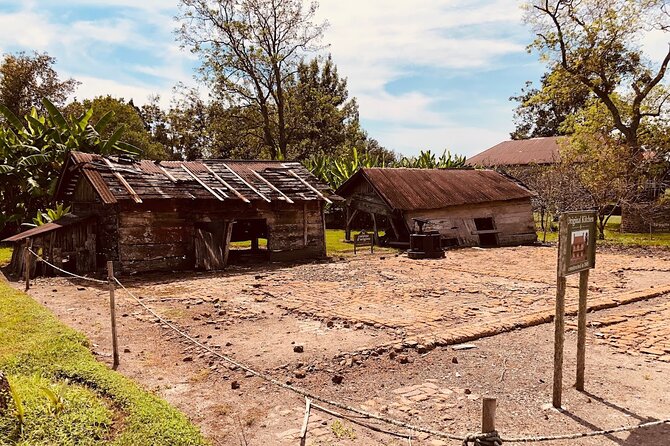 Laura Plantation Half-Day Tour from New Orleans - Explore Laura Plantation’s Deep Roots and Personal Stories