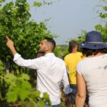 Lazise: Biodynamic Farm Tour and Natural Wine Tasting - Visiting the Farm in Colà di Lazise: Location and Access