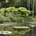 Le Havre Shore Excursion: Private Tour of Giverny, Rouen and Honfleur - Honfleur’s Picturesque Port and Its Artistic Heritage