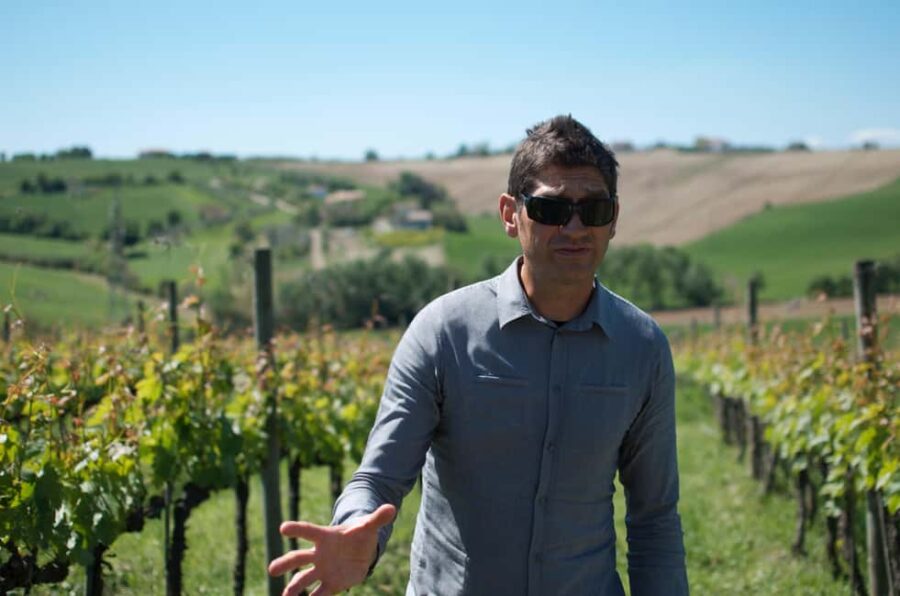 Le Marche: Wine & Olive Oil Tour with Lunch and Pick-Up - Discover Le Marche’s Family Wineries and Olive Oil Producers in 5.5 Hours