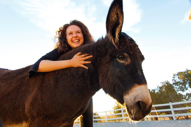 Leadership & Mindfulness Retreat with Horses - Individual & Group - Convenient Location and Meeting Point at Sherwood Circle