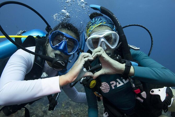 Learn Scuba Diving in Tenerife with Photos Included - Personalized Attention and Small Group Experience