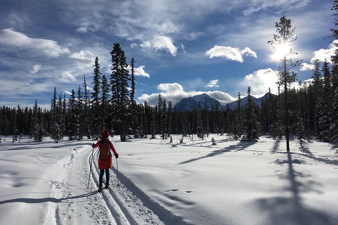 Learn to Cross Country Ski in Lake Louise - The Equipment Rental Options and Recommendations