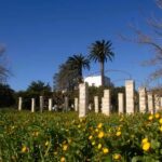 Lecce: Countryside Vineyard Walk & Wine Tasting - Visiting the Ancient Wine-Making Room