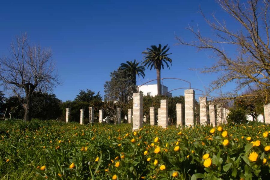Lecce: Countryside Vineyard Walk & Wine Tasting - Visiting the Ancient Wine-Making Room
