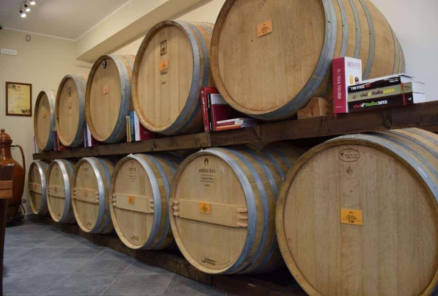 Lecce: Negroamaro Lands Winery Tour with Wine Tasting - Starting at Feudi di Guagnano for a Historic Winery Visit