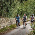 Lecce to Cesine Protected Natural Reserve Full-Day Bike Tour - Explore Puglia’s Countryside and Coastline on a Full-Day Bike Tour from Lecce