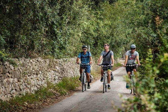 Lecce to Cesine Protected Natural Reserve Full-Day Bike Tour - Explore Puglia’s Countryside and Coastline on a Full-Day Bike Tour from Lecce