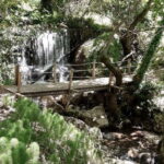 Lefkada: Path of Springs Hike with Olive Oil Tasting - Starting Point at the Central Square of Sivros