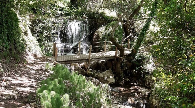 Lefkada: Path of Springs Hike with Olive Oil Tasting - Starting Point at the Central Square of Sivros