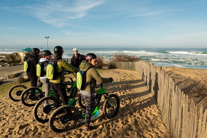 Leisure ride on an electric scooter - Exploring the Landes Forest Pines and Coastal Views