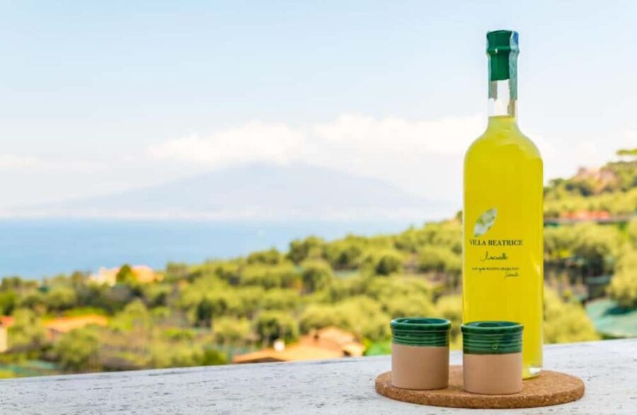 Lemon Grove Walk, Tastings, Aperitivo & Open Bar in Sorrento - Scenic Viewpoint and Lemon Grove Tour Details