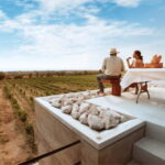 León: Wine Tour at Viñedo Leones & City Center Exploration - Visiting the Historic Hacienda Jaramillo de Abajo