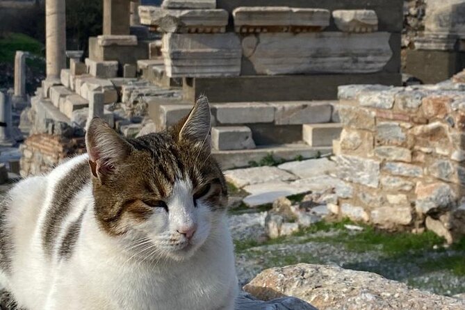 LESS Walking Tour : Private Ephesus, House of Virgin Mary, Temple - Convenient Pickup and Customizable Schedule