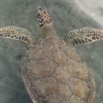 Lets Paddle! Jupiter & surrounding areas - Equipment and Inclusions: What’s Covered