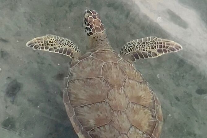 Lets Paddle! Jupiter & surrounding areas - Equipment and Inclusions: What’s Covered