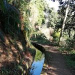 Levada da Referta - Castelejo - Walking Along the Levada da Referta: What Makes It Special
