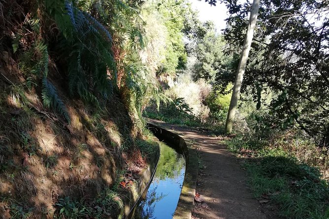Levada da Referta - Castelejo - Walking Along the Levada da Referta: What Makes It Special