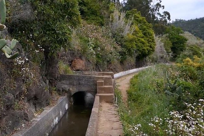 Levada do Norte Quinta Grande Levada walk - Who Will Enjoy This Madeira Levada Walk?