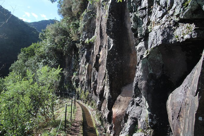 Levada do Rei - Ribeiro Bonito (Full Day Walk) - Comfortable Transport for a Hassle-Free Experience